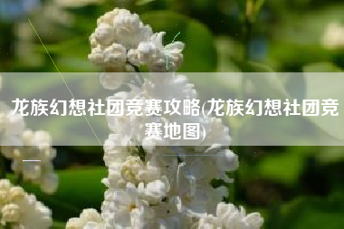 龙族幻想社团竞赛攻略(龙族幻想社团竞赛地图)