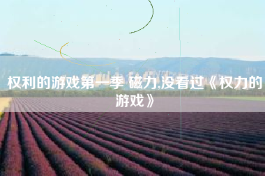 权利的游戏第一季 磁力,没看过《权力的游戏》
