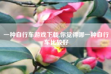 一种自行车游戏下载,你觉得哪一种自行车比较好