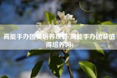 高能手办团葵培养攻略(高能手办团葵值得培养吗)