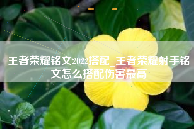 王者荣耀铭文2022搭配_王者荣耀射手铭文怎么搭配伤害最高