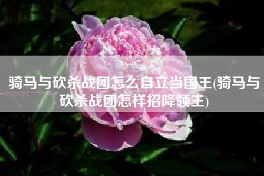骑马与砍杀战团怎么自立当国王(骑马与砍杀战团怎样招降领主)
