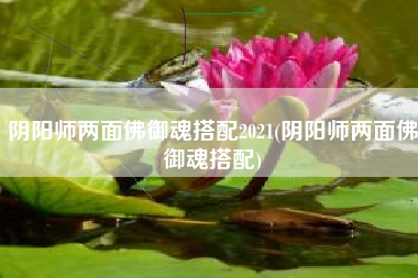 阴阳师两面佛御魂搭配2021(阴阳师两面佛御魂搭配)