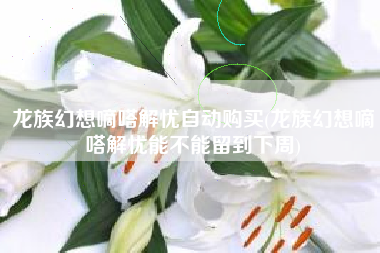 龙族幻想嘀嗒解忧自动购买(龙族幻想嘀嗒解忧能不能留到下周)
