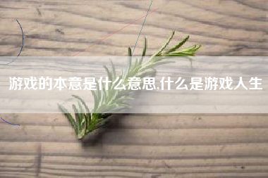 游戏的本意是什么意思,什么是游戏人生