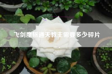 飞剑魔斩通天教主需要多少碎片