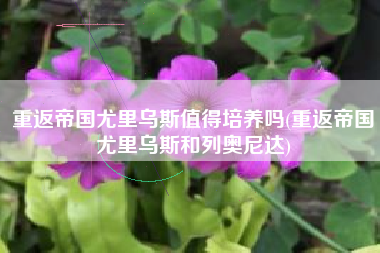 重返帝国尤里乌斯值得培养吗(重返帝国尤里乌斯和列奥尼达)