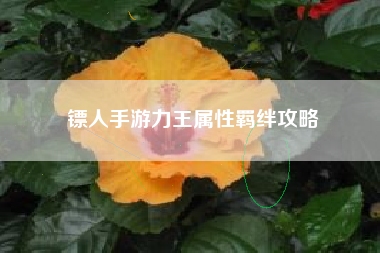镖人手游力王属性羁绊攻略