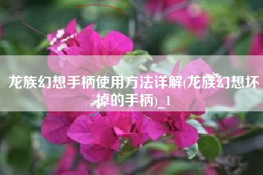 龙族幻想手柄使用方法详解(龙族幻想坏掉的手柄)_1