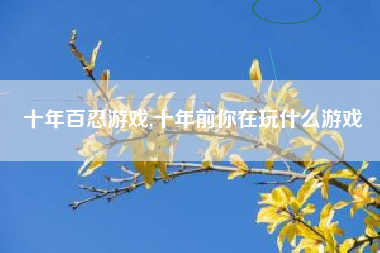 十年百忍游戏,十年前你在玩什么游戏