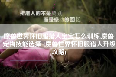 魔兽世界怀旧服猎人宝宝怎么训练,魔兽宠物技能选择-(魔兽世界怀旧服猎人升级攻略)