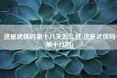 这是武侠吗第十八关怎么过(这是武侠吗第十八回)