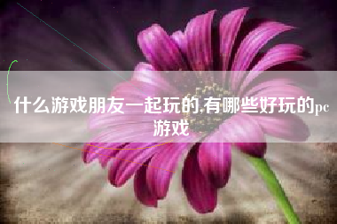 什么游戏朋友一起玩的,有哪些好玩的pc游戏