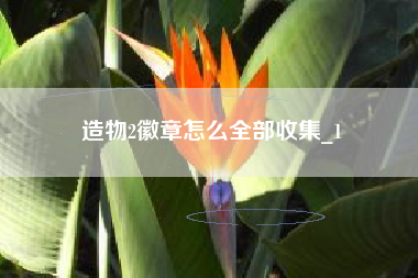 造物2徽章怎么全部收集_1