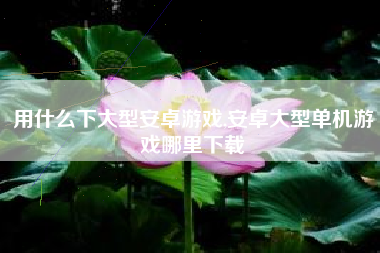 用什么下大型安卓游戏,安卓大型单机游戏哪里下载