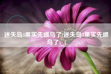 迷失岛3果实先喂鸟了(迷失岛3果实先喂鸟了)_1