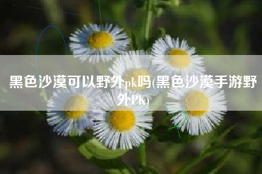 黑色沙漠可以野外pk吗(黑色沙漠手游野外PK)