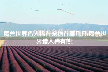 魔兽世界猎人稀有宠物有哪几只(魔兽世界猎人稀有熊)