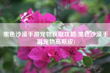 黑色沙漠手游宠物获取攻略(黑色沙漠手游宠物高斯皮)