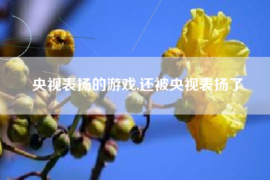 央视表扬的游戏,还被央视表扬了
