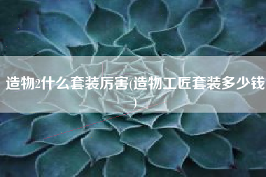 造物2什么套装厉害(造物工匠套装多少钱)