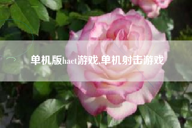 单机版hact游戏,单机射击游戏
