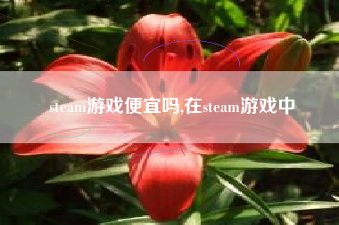 steam游戏便宜吗,在steam游戏中