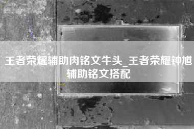 王者荣耀辅助肉铭文牛头_王者荣耀钟馗辅助铭文搭配