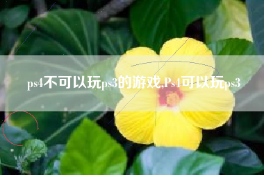 ps4不可以玩ps3的游戏,Ps4可以玩ps3