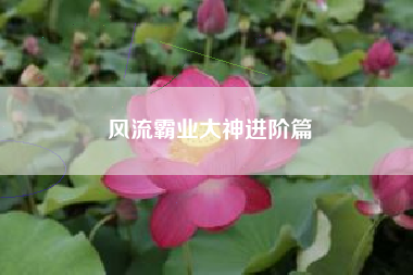 风流霸业大神进阶篇