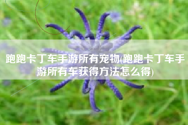 跑跑卡丁车手游所有宠物(跑跑卡丁车手游所有车获得方法怎么得)