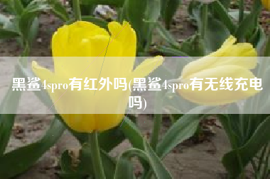 黑鲨4spro有红外吗(黑鲨4spro有无线充电吗)