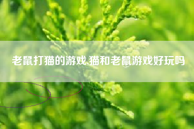 老鼠打猫的游戏,猫和老鼠游戏好玩吗