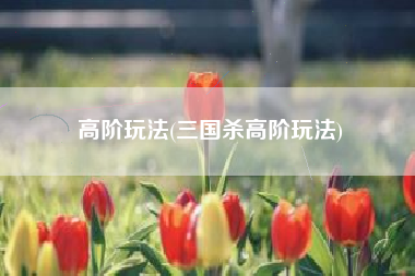 高阶玩法(三国杀高阶玩法)