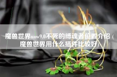 魔兽世界wow9.0不死的缚魂者位置介绍 (魔兽世界用什么插件比较好)