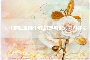17寸游戏本哪个好,散热好的17寸游戏本