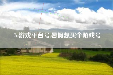 7u游戏平台号,暑假想买个游戏号