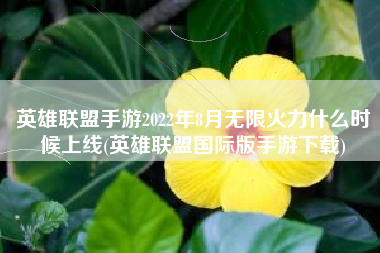 英雄联盟手游2022年8月无限火力什么时候上线(英雄联盟国际版手游下载)