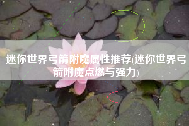 迷你世界弓箭附魔属性推荐(迷你世界弓箭附魔点燃与强力)