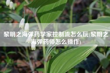 黎明之海弹药学家控制流怎么玩(黎明之海弹药师怎么操作)