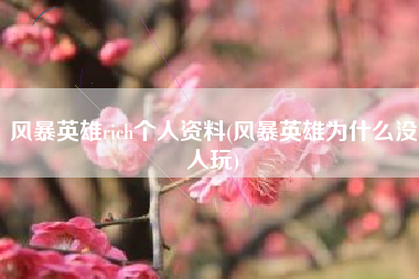 风暴英雄rich个人资料(风暴英雄为什么没人玩)
