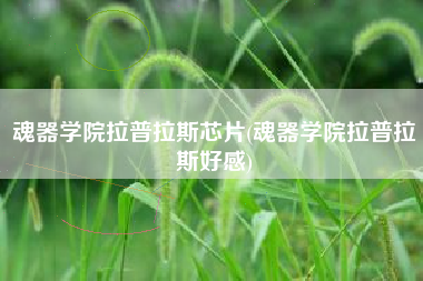 魂器学院拉普拉斯芯片(魂器学院拉普拉斯好感)