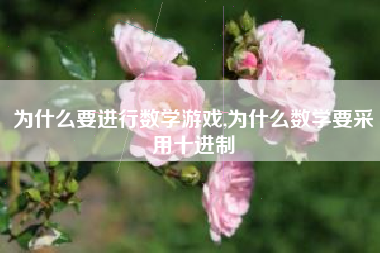 为什么要进行数学游戏,为什么数学要采用十进制