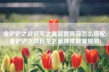 金铲铲之战巨龙之巢瑟提阵容怎么搭配(金铲铲之战巨龙之巢牌库数量规则)