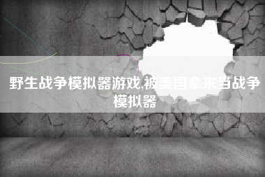 野生战争模拟器游戏,被美国拿来当战争模拟器