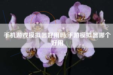手机游戏模拟器好用吗,手游模拟器哪个好用