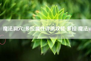 魔法洞穴2多拉属性评测攻略(多拉 魔法)