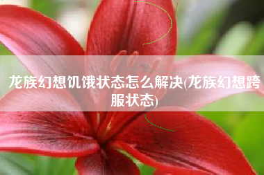 龙族幻想饥饿状态怎么解决(龙族幻想跨服状态)