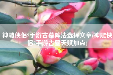 神雕侠侣2手游古墓阵法选择文章(神雕侠侣2手游古墓天赋加点)