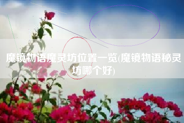 魔镜物语魔灵坊位置一览(魔镜物语秘灵坊哪个好)